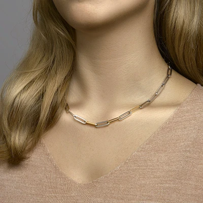 Afbeelding van Goud met Zilveren Collier paperclip platte buis 5 5600287