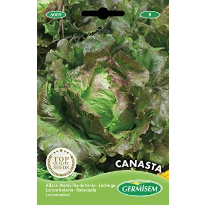 Afbeelding van Germisem Canasta Sla Zaden 5 g