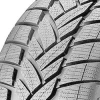 Afbeelding van Winterbanden DUNLOP Grandtrek WTM3 265/55R19 109H