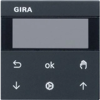 Afbeelding van Gira System 3000 Jaloezie/schakelklok display zwart
