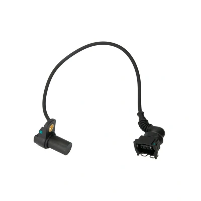 Afbeelding van Nokkenassensor DELPHI SS11211