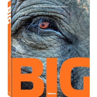 Afbeelding van Big: A Photographic Album of the World&#039;s Largest Animals
