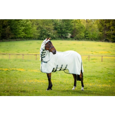Afbeelding van Rambo Hoody Groen/Sage/Beige 155/206