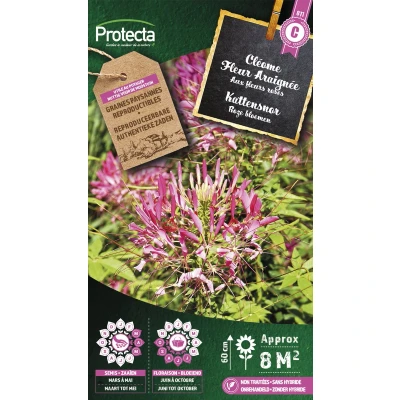 Afbeelding van Protecta Bloemen zaden: Kattensnor Roze Cleome
