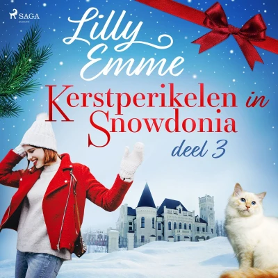 Afbeelding van Kerstperikelen in Snowdonia deel 3
