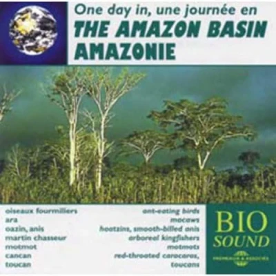 Afbeelding van Various Artists Une Journee En Amazonie The Amazon Basin (CD)