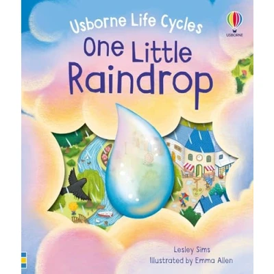 Afbeelding van Life Cycles One Little Raindrop