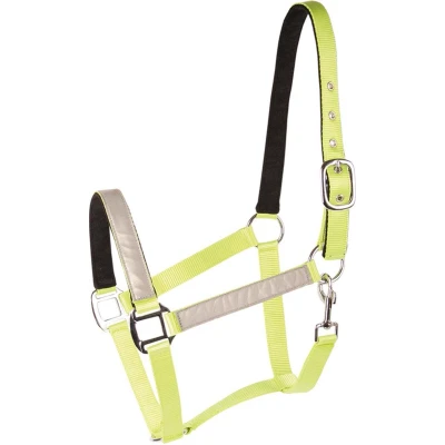 Afbeelding van Harry&#039;s Horse Halster Reflective Cob Geel