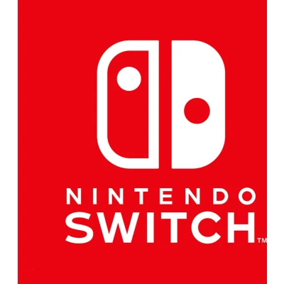 Afbeelding van Nintendo Switch 1.1 Gris Standard