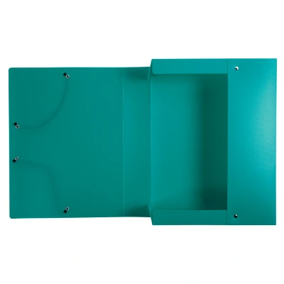 Afbeelding van Exacompta 59883E archiefdozen, 24 x 32 cm, groen