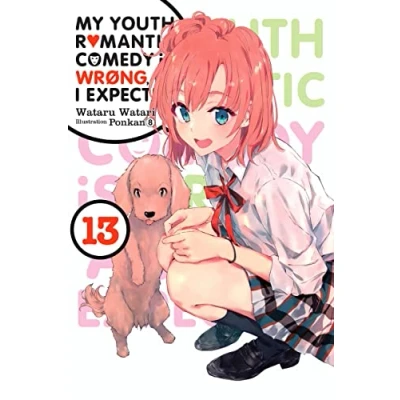 Afbeelding van YOUTH ROMANTIC COMEDY WRONG EXPECTED NOVEL 13: Volume 13