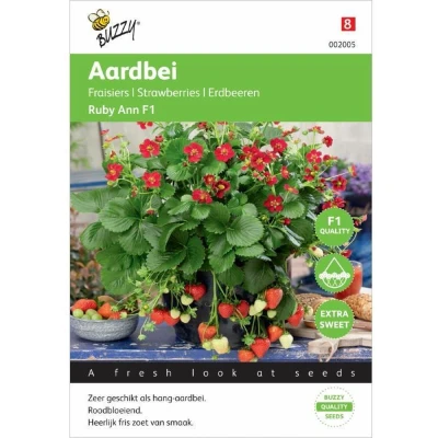 Afbeelding van Aardbei (Hangend) Ruby Ann F1 Buzzy
