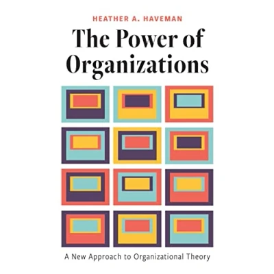 Afbeelding van The Power of Organizations: A New Approach to Organizational Theory
