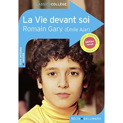 Afbeelding van La vie devant soi