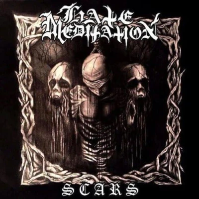 Afbeelding van Hate Meditation Scars