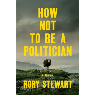 Afbeelding van How Not to Be A Politician: Memoir