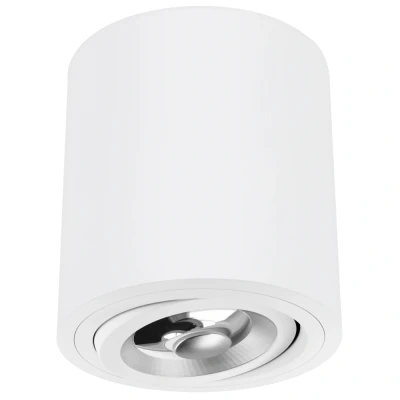 Afbeelding van Yphix Roma Opbouwspot Rond 1 Lichtpunt Kantelbaar 160x145mm Wit LEDdirect.nl