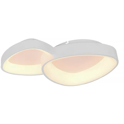 Afbeelding van Moderne plafondlamp 2 lichts wit Organico