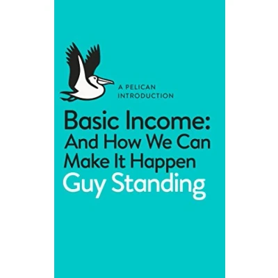 Afbeelding van A Pelican Introduction: Basic Income: And How We Can Make It Happen