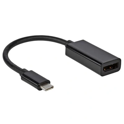 Afbeelding van USB C adapter / naar displayport kabel Goobay