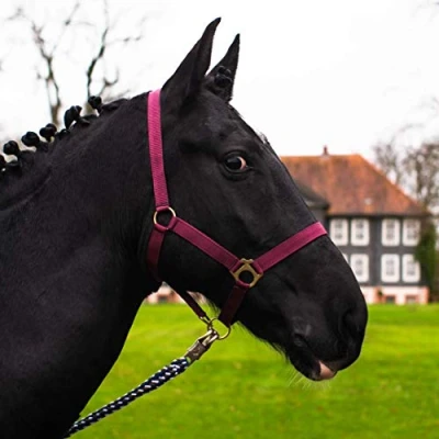 Afbeelding van Halster voor paard warmbloed, volbloed, koudbloed stalhalster, wilgenhalster, 2 voudig verstelbaar aan kinriem en nekstuk, veilig scheurvast (bordeaux, volbloed (cob))