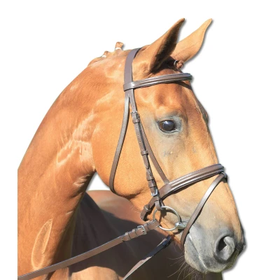 Afbeelding van STAR Bridle Lifestyle Pony