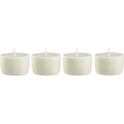 Afbeelding van Blomus Frable refill set van 4 D5cm agave