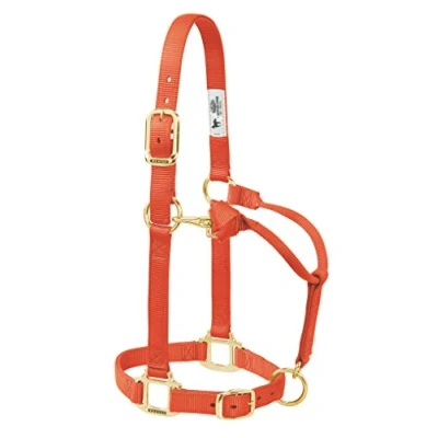 Afbeelding van Weaver Leather Originele verstelbare nylon paardenhalster, jaarling, oranje