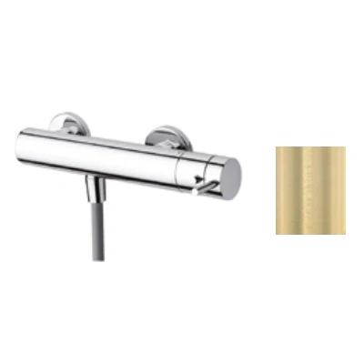 Afbeelding van Waterevolution Flow douchethermostaat met douchegarnituur PVD licht goud T140TWGE