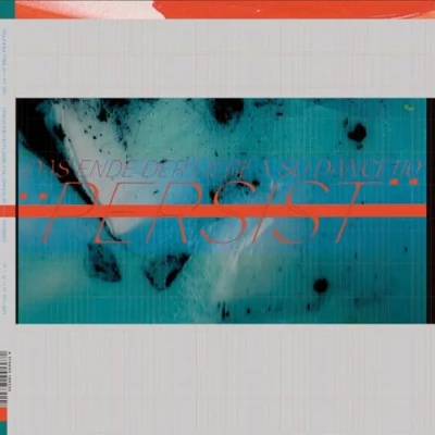 Afbeelding van Das Ende Der Liebe Persist (2 LP)