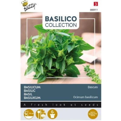Afbeelding van Basilicum Bascuro