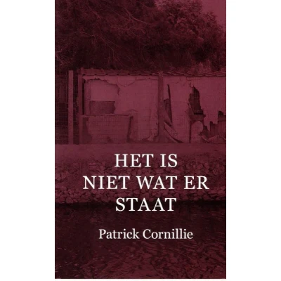 Afbeelding van Het is niet wat er staat