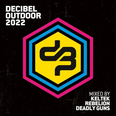 Afbeelding van Various Artists Decibel Outdoor 2022 (3 CD)