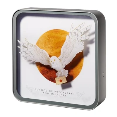 Afbeelding van Harry Potter Hedwig Perspex Lamp