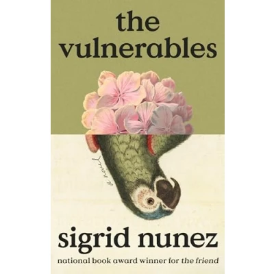 Afbeelding van The Vulnerables: A Novel