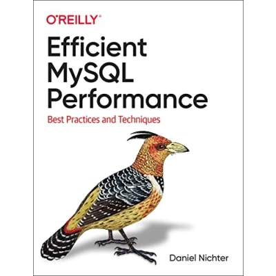 Afbeelding van Efficient MySQL Performance: Best Practices and Techniques