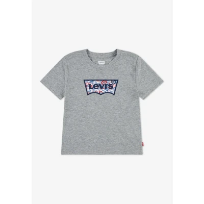 Afbeelding van Levi&#039;s ON THE ROAD Batwing TEE Tshirt print voor kinderen, Maat: 176, Grey heather