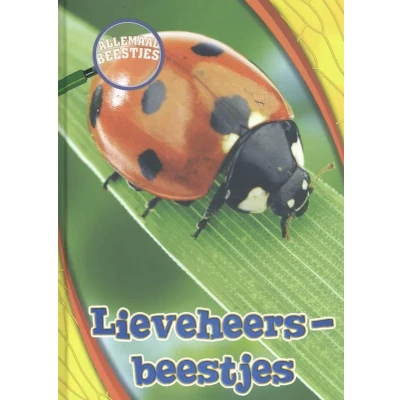 Afbeelding van Lieveheersbeestje