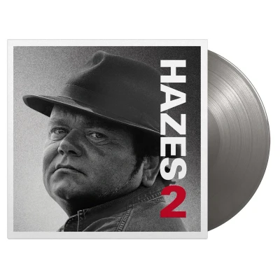 Afbeelding van Andre Hazes 2 (2 LPs)