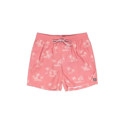 Afbeelding van Billabong Vacay Zwemshorts, Heren, Maat: Small, Mdb