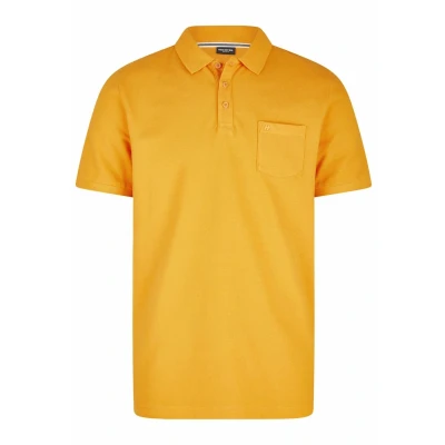Afbeelding van Daniel Hechter Basic Poloshirt, Heren, Maat: Large, Orange