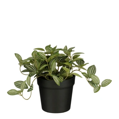 Afbeelding van 6x Kunstplant Mica Tradescantia in pot 16x16cm