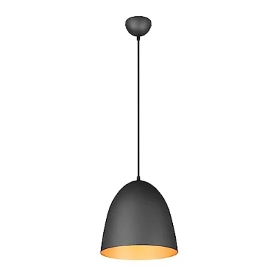 Afbeelding van Reality LED Hanglamp Hangverlichting E27 Fitting 1 lichts Rond Zwart/Goud Aluminium