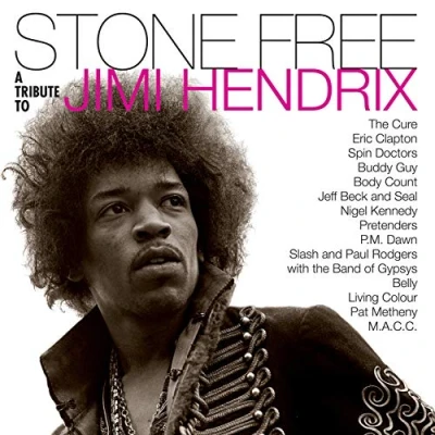 Afbeelding van Jimi Hendrix Stone Free: (2 LPs)