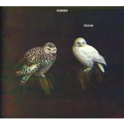 Afbeelding van Dungen Haxan (CD)
