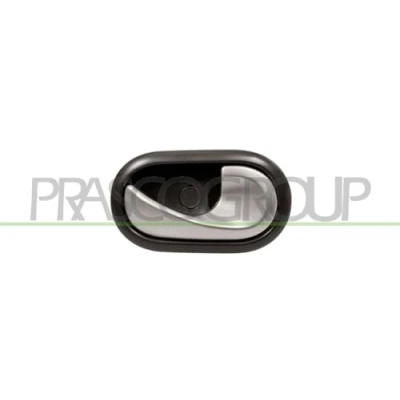 Afbeelding van Handgreep, interieur PRASCO DA2208617
