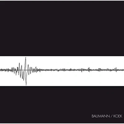 Afbeelding van Baumann &amp; Koek Baumann/Koek (CD)