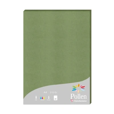 Afbeelding van Clairefontaine 24270C een etui met 25 vellen formaat A4 (21 x 29,7 cm) 210 g/m² kleur: saliegroen uitnodigingspapier voor evenementen en correspondentie pollen serie premium papier glad