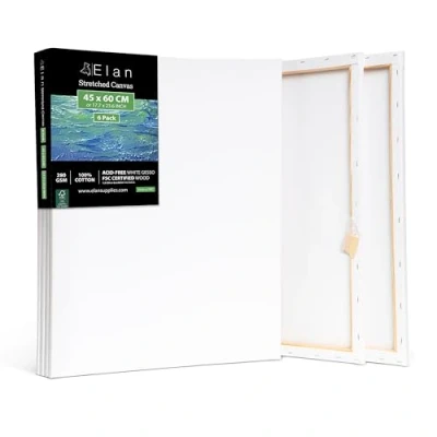 Afbeelding van Elan Gespannen schildersdoeken 45x60 CM, 6 Pack schildersdoeken, schilderscanvas bulk schildersdoek voor volwassenen Blanco schilderscanvas, het schilderen kunstcanvas