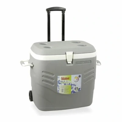 Afbeelding van Draagbare harde koelbox Hidalgo Premium Grijs 41 L